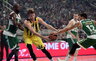 J.Vesely lieka Stambulo ekipoje (Scanpix nuotr.)